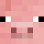 Pig Avatar