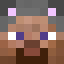 Steve Avatar
